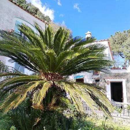 Le Camelie Appartement Ischia
